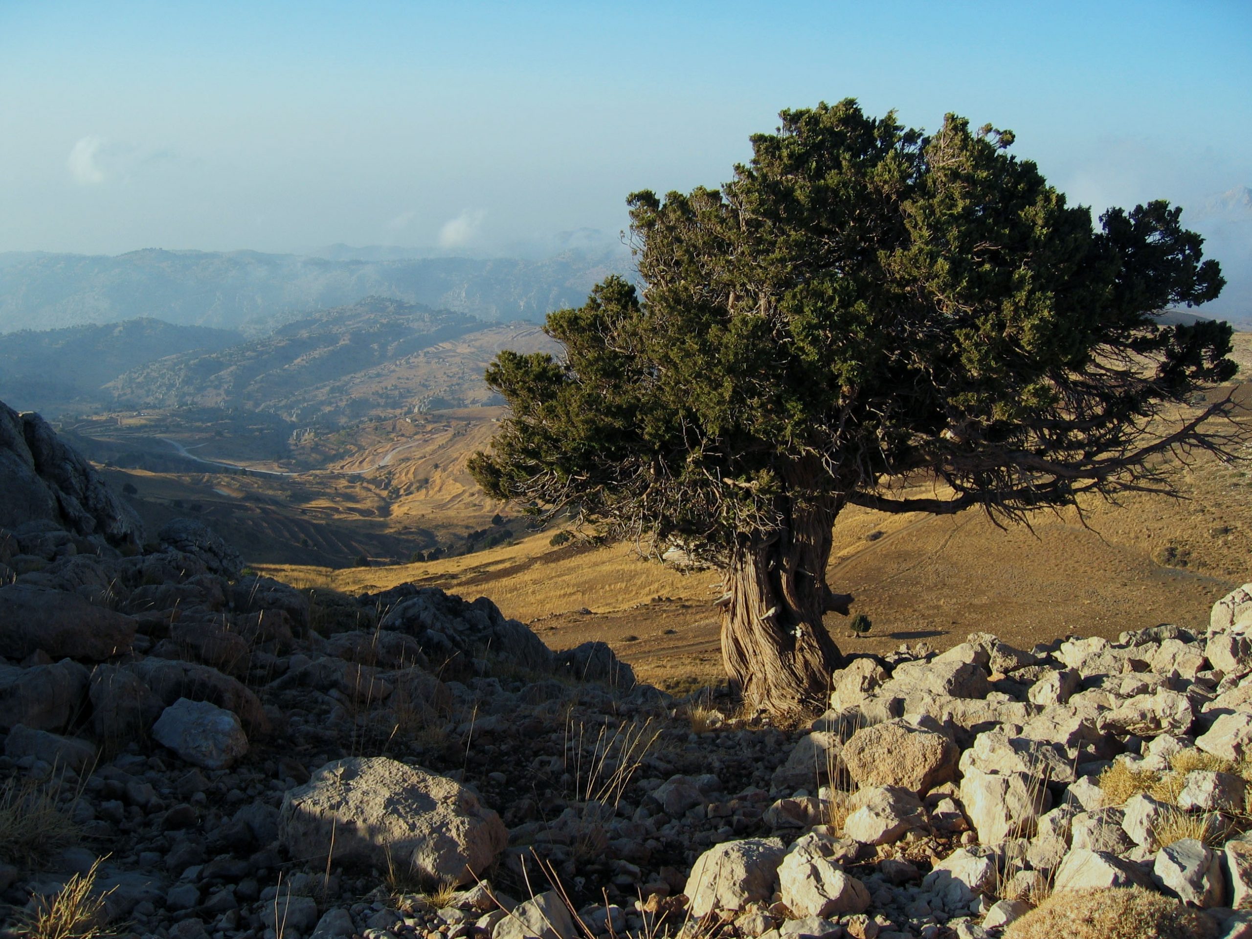 Mada Association community work in North Lebanon