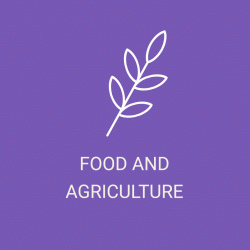 Food & Agriculture