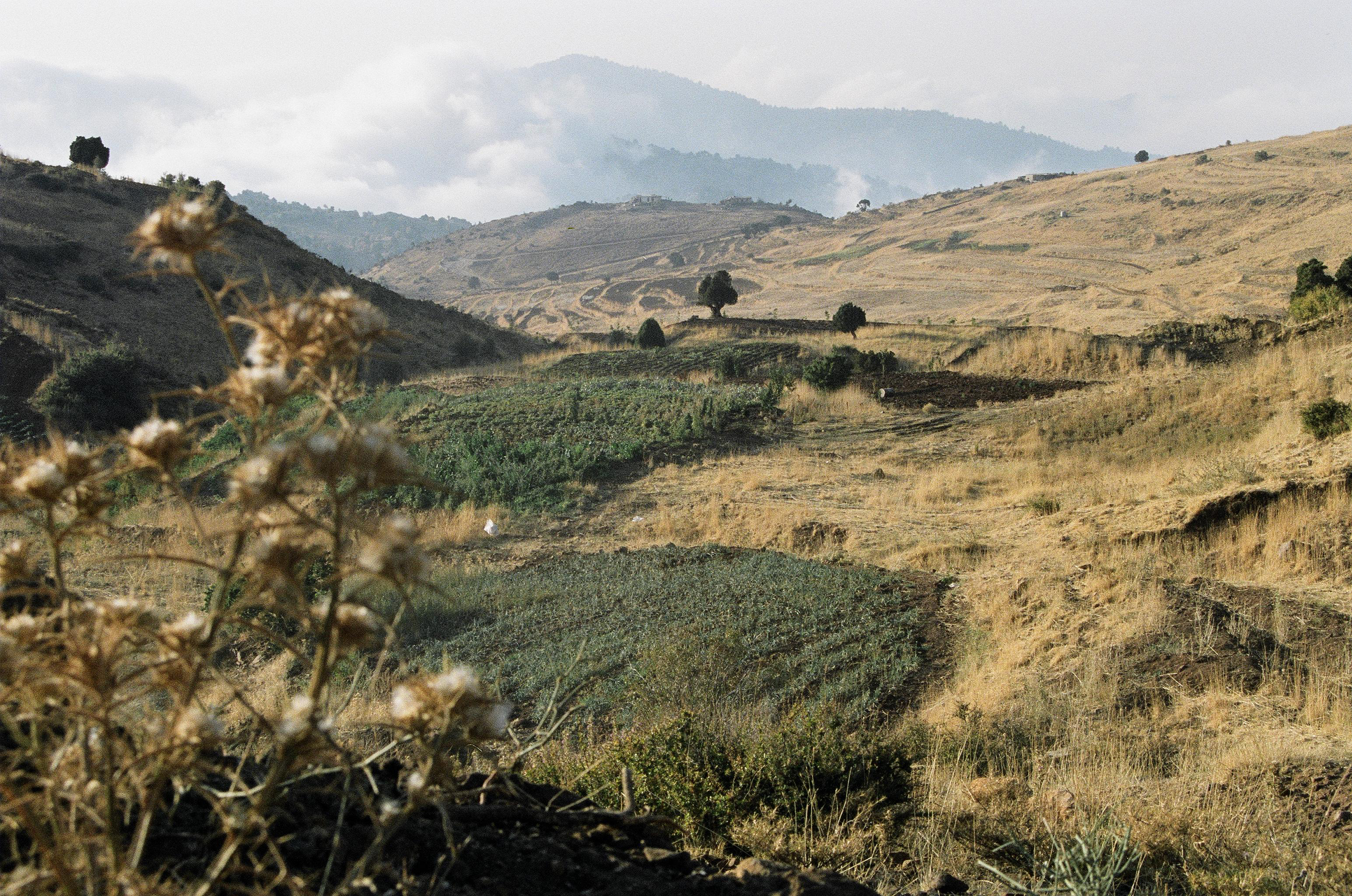 Photo olivier browers akkar 2004 10