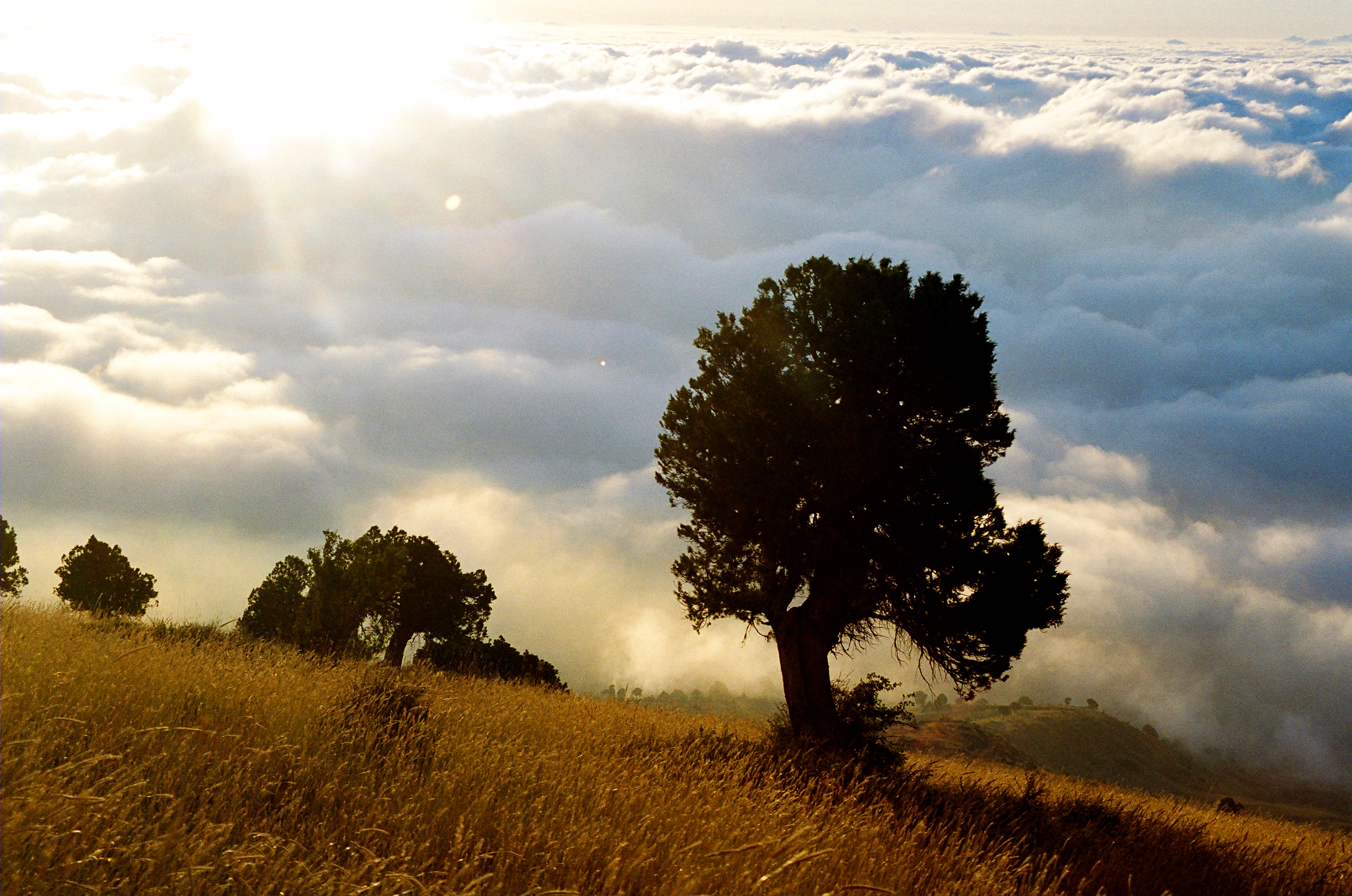 Photo rawane nassif akkar 2004 22