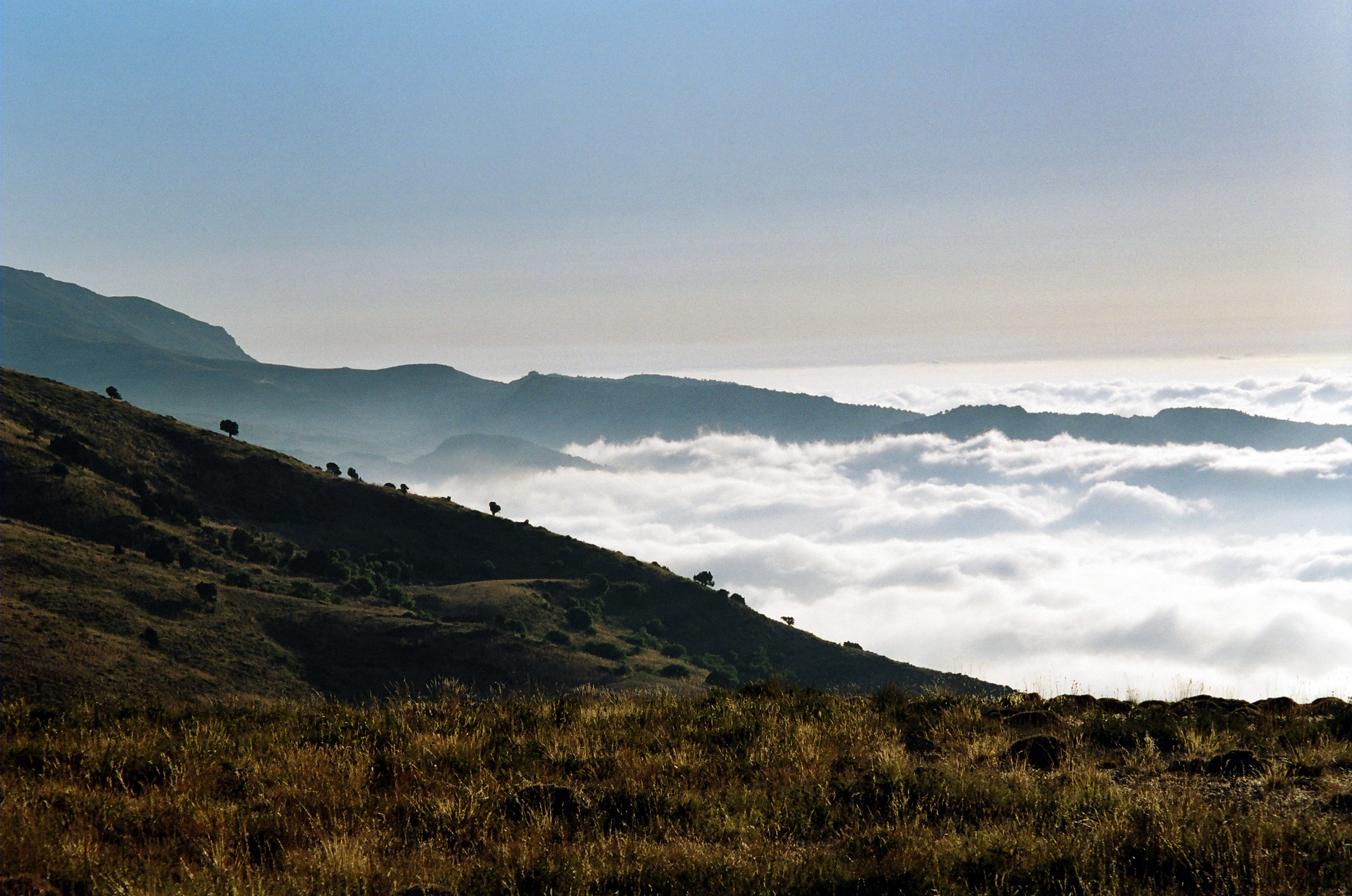 Photo rawane nassif akkar 2004 27