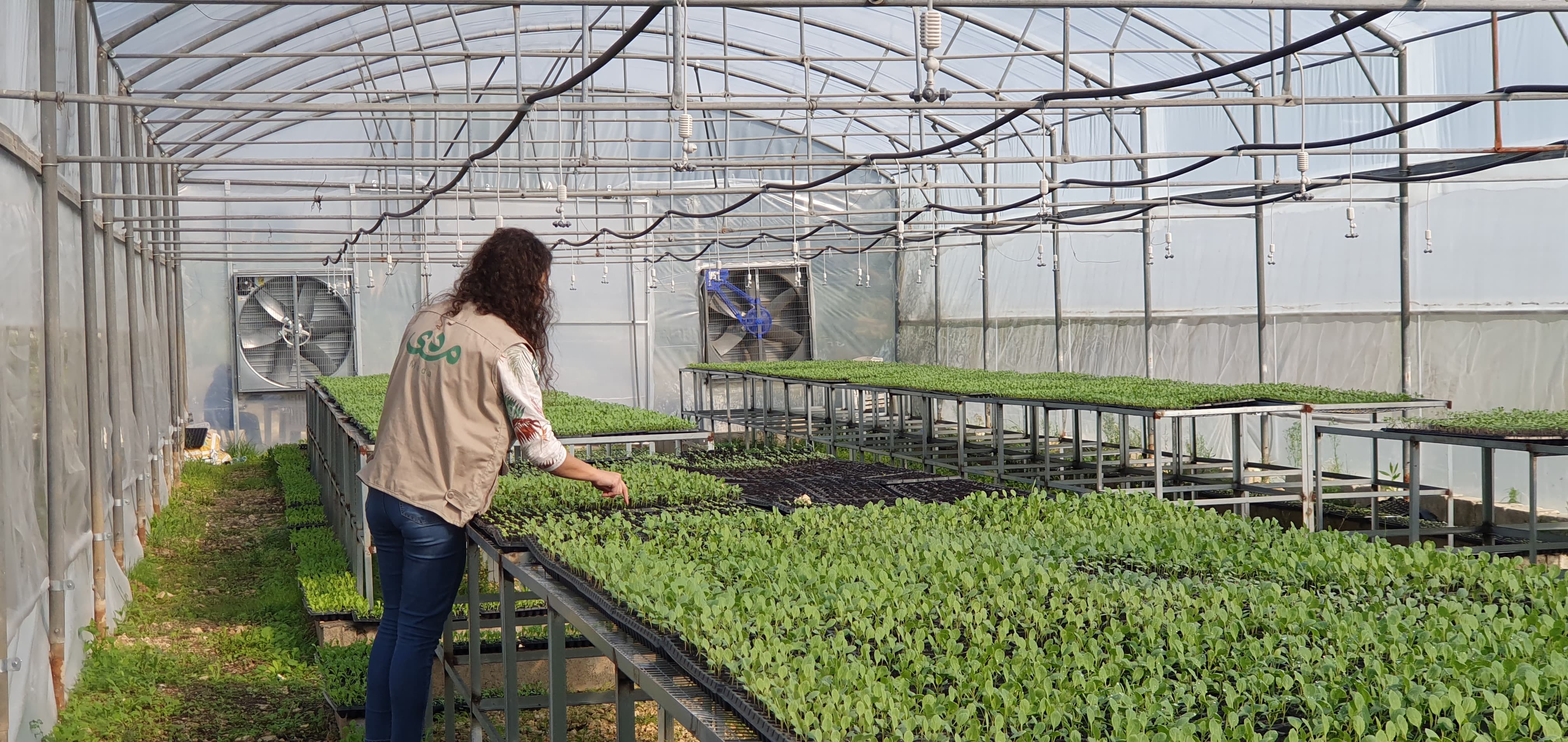 Community nursery in partnership with the akkar minsitry of agriculture branch supported by afd and the centre de crise et de soutien and implemented by expertise france under shabake