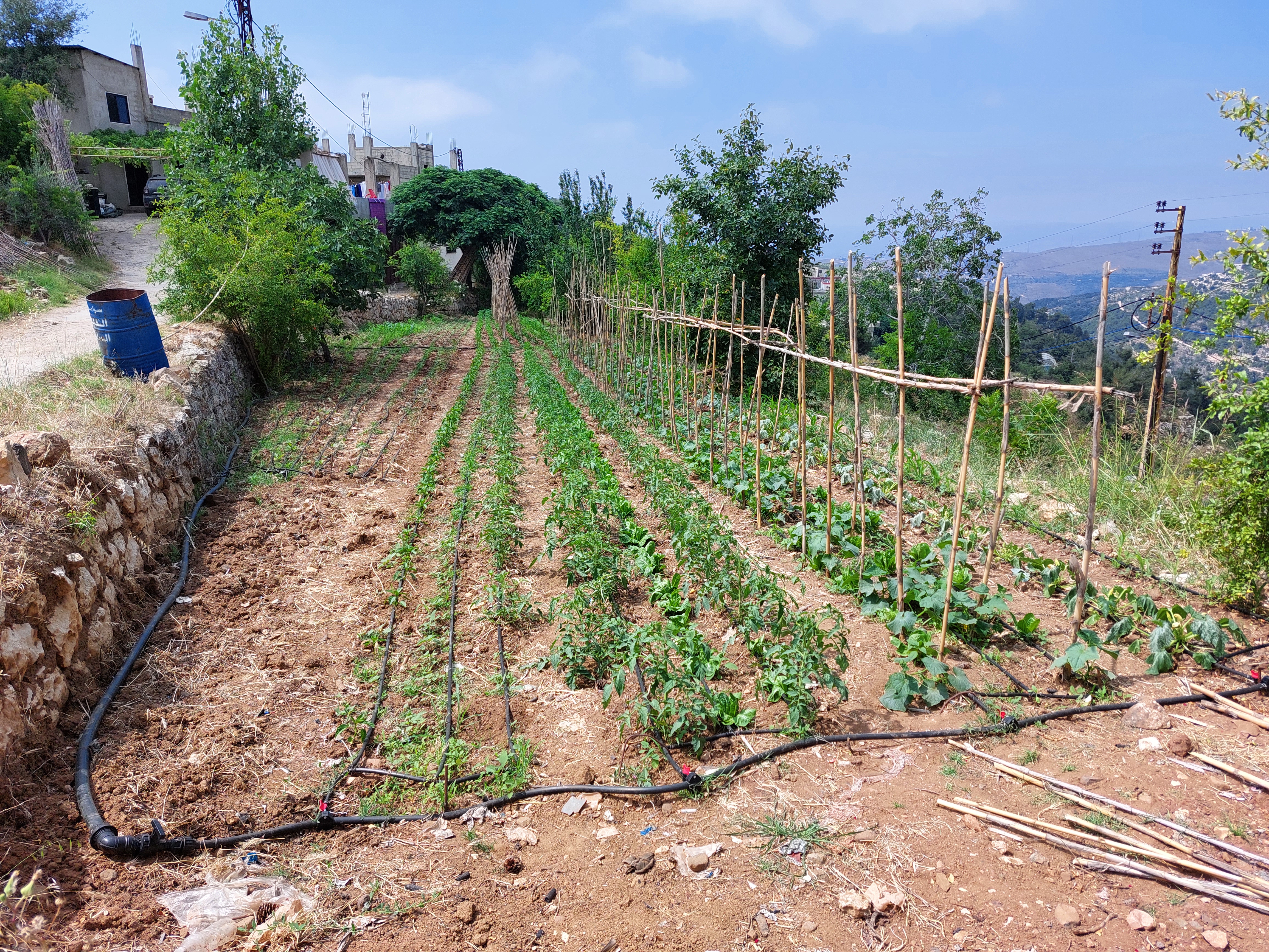 Shifting to agroecology in daouret akkar supported by afd and the centre de crise et de soutien and implemented by expertise france under shabake ii