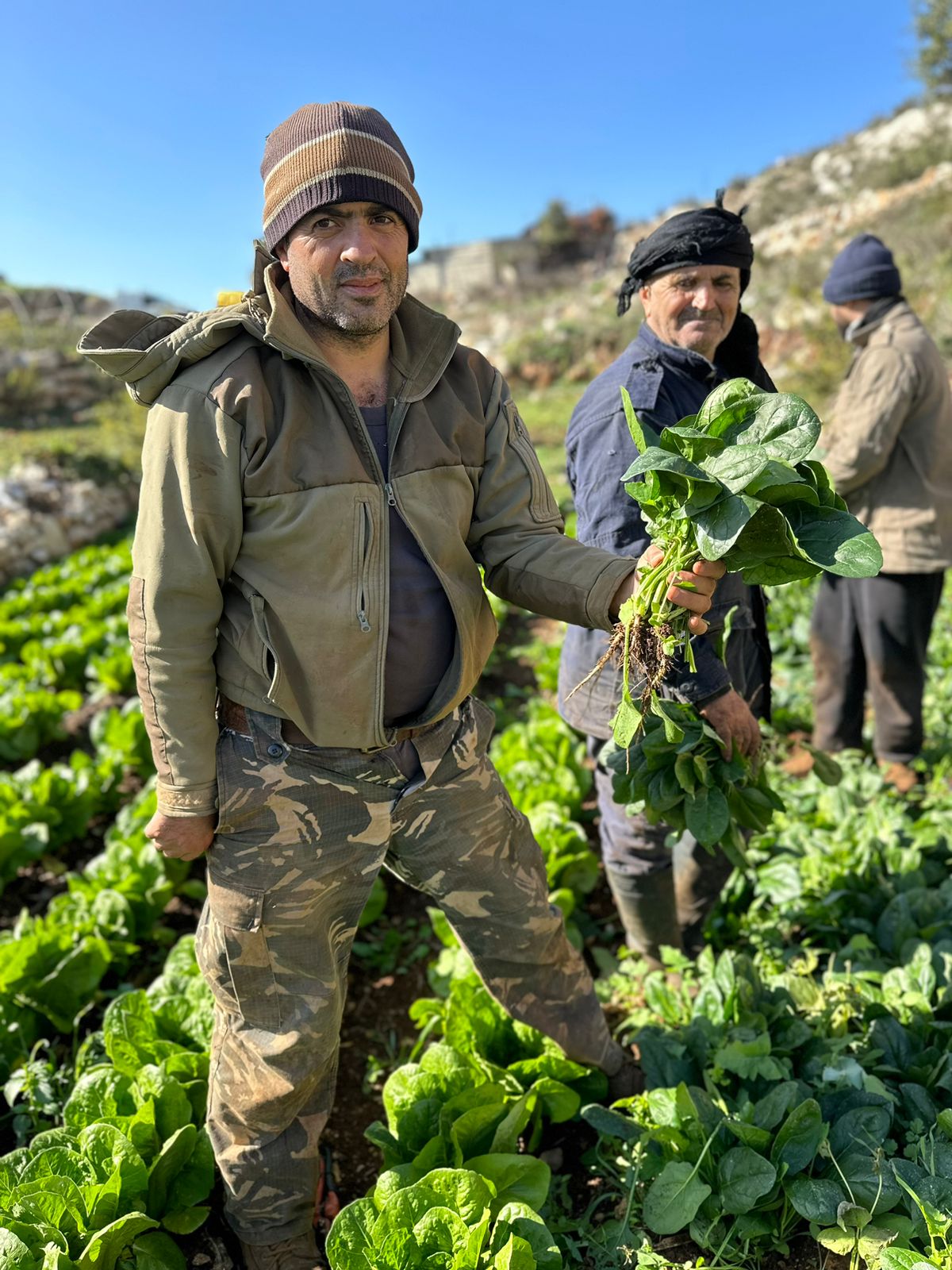 Support to smallholder farmers in partnership with weworld and lhf funding kfartoun december 2023