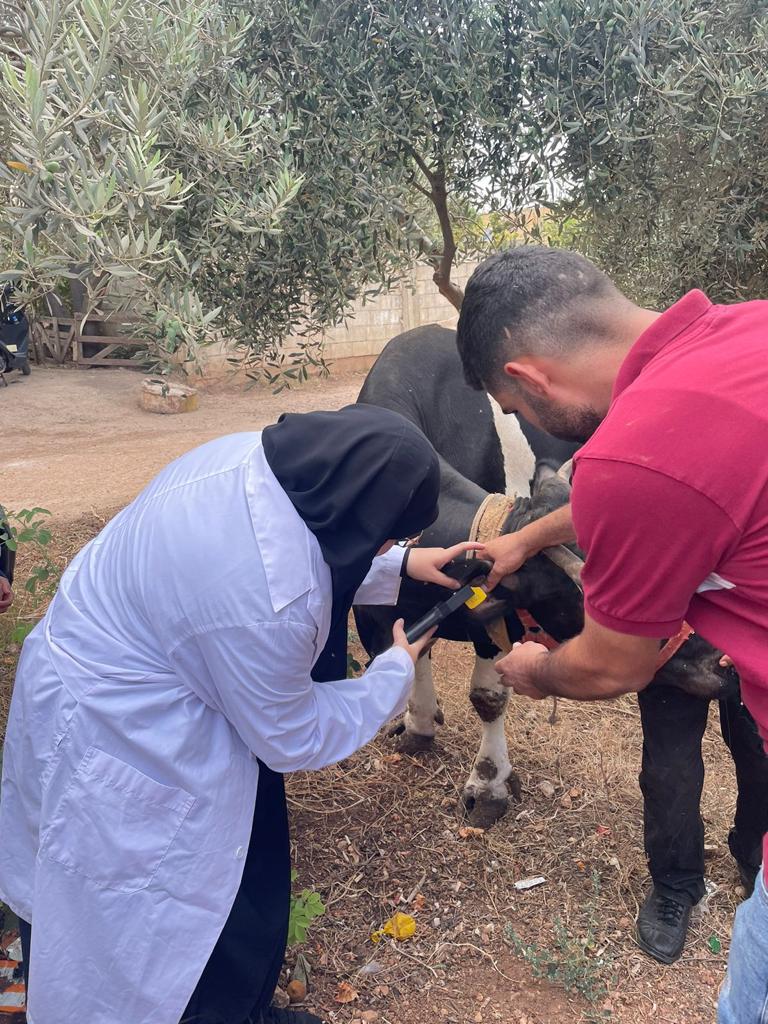 Training on small ruminants and cattle in minnieh dannieh in partnership with arche nova and funding from bmz