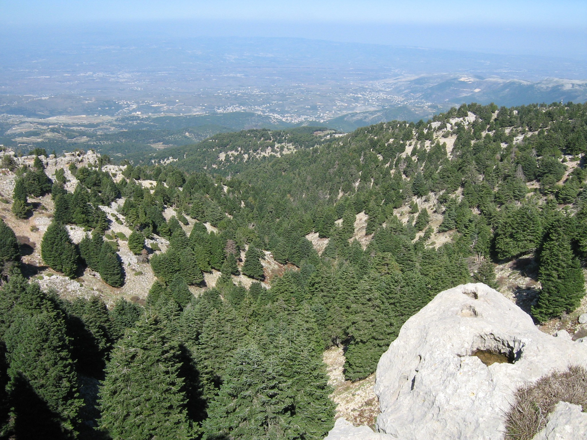 326220574 724362792369744 4496490504393050622 n